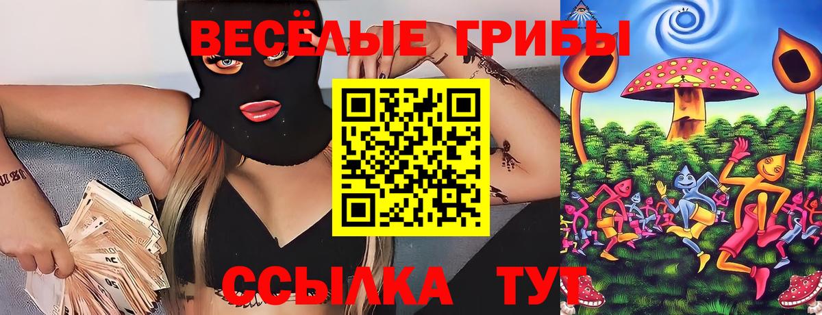 закладка  Вход с VPN  Елец  Галлюциногенные грибы Psilocybine cubensis 